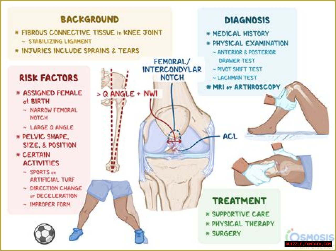 Understanding Fluid Buildup In The Knee: Causes, Symptoms, And Treatment Options